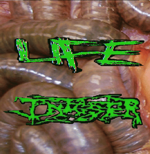 Infester (USA-2) : Undocumented Forensic Experiments - Infester